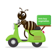 蚂蚁买菜app 1.0 安卓版
